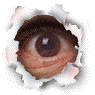 eye1.gif (15346 bytes)